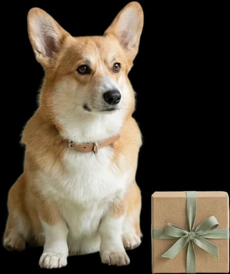 Geschenkideen unter 30 €
